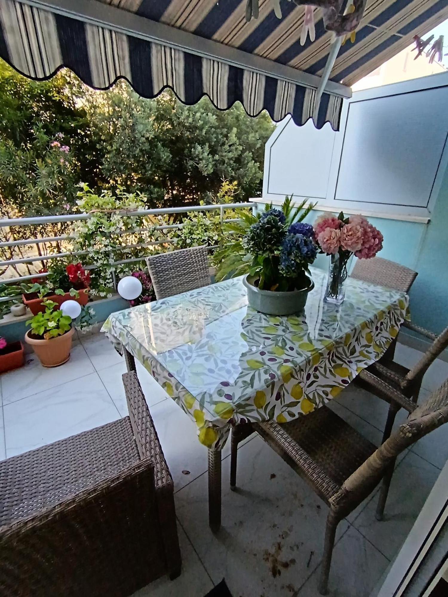 Apartment Diana Znjan